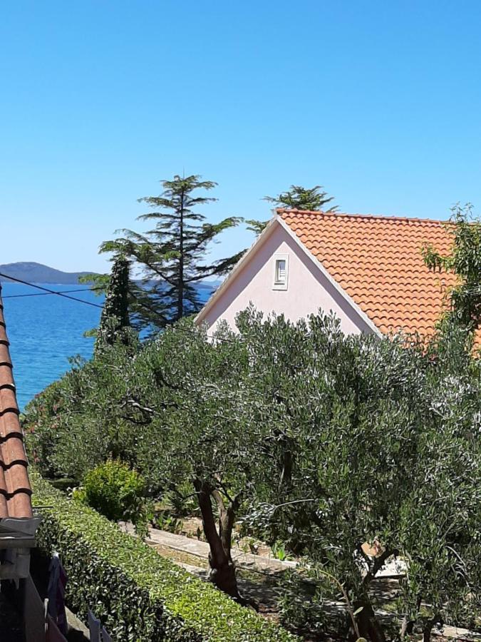 Apartments Basioli Zadar Eksteriør billede