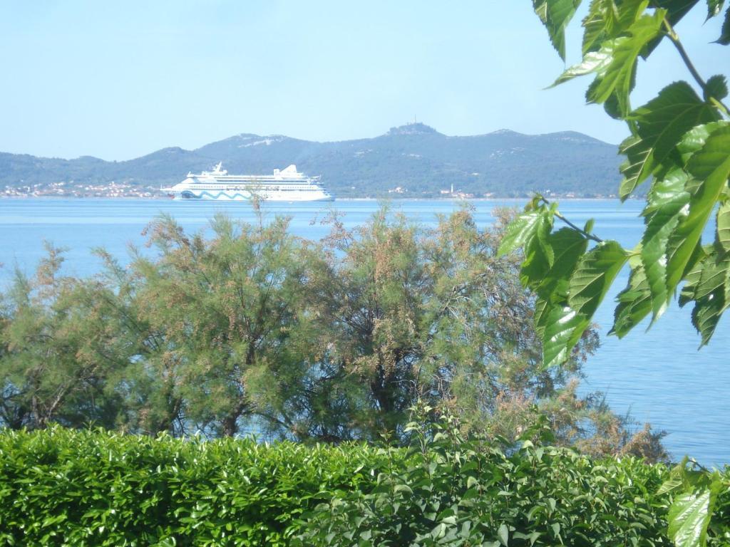 Apartments Basioli Zadar Værelse billede